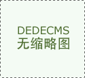 两家车企已官宣接入DeepSeek 2025将成为AI上
